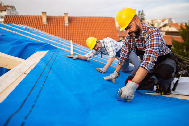 Best Metal Roofing Contractor  in White Sands, NM